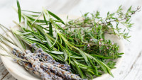 bylinky herbs-2523119 1280
